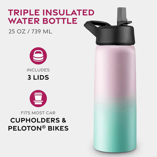 25 Oz Insulated Water Bottle with Straw
